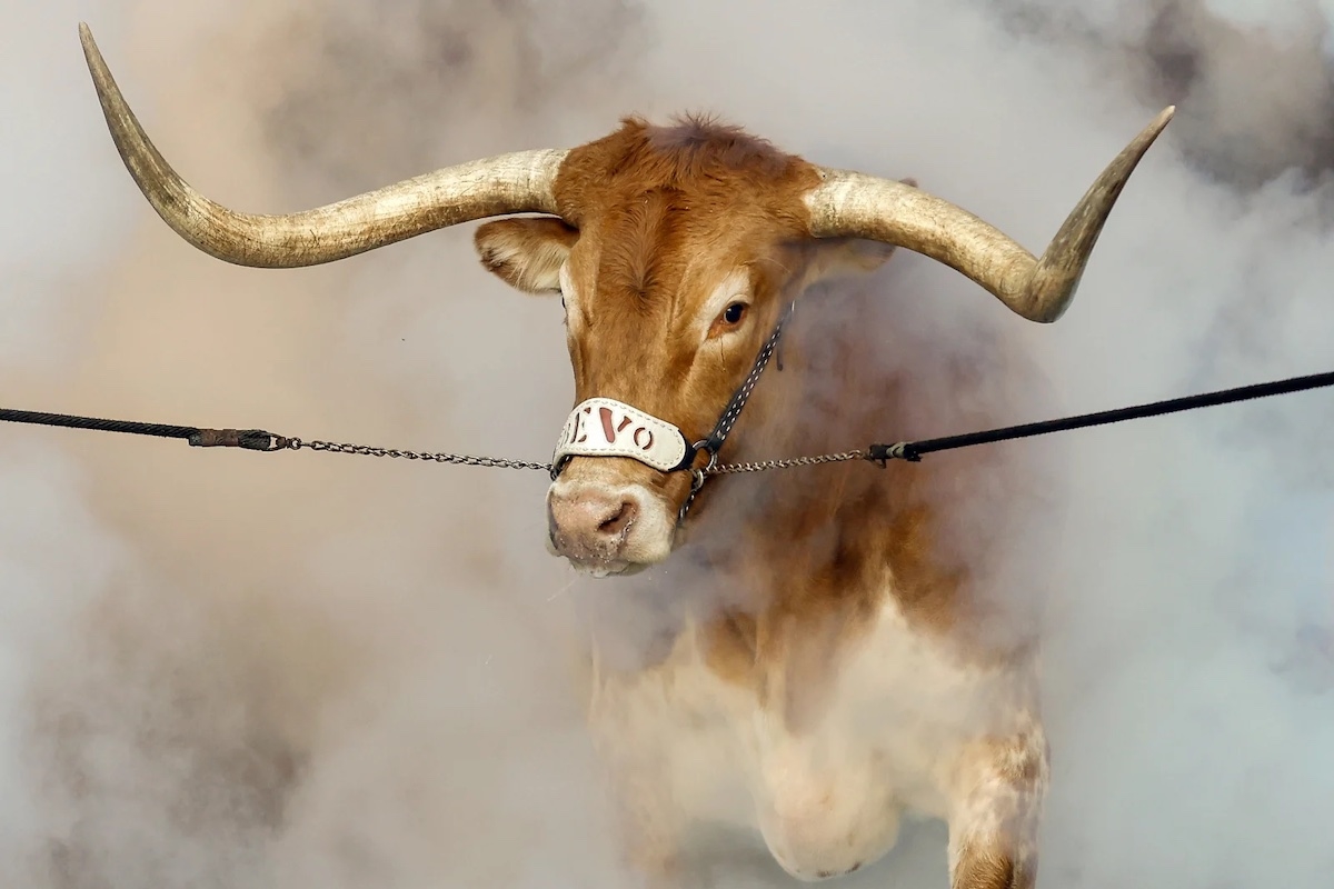 Where Did The Texas Longhorns Rank In The Initial College Football 