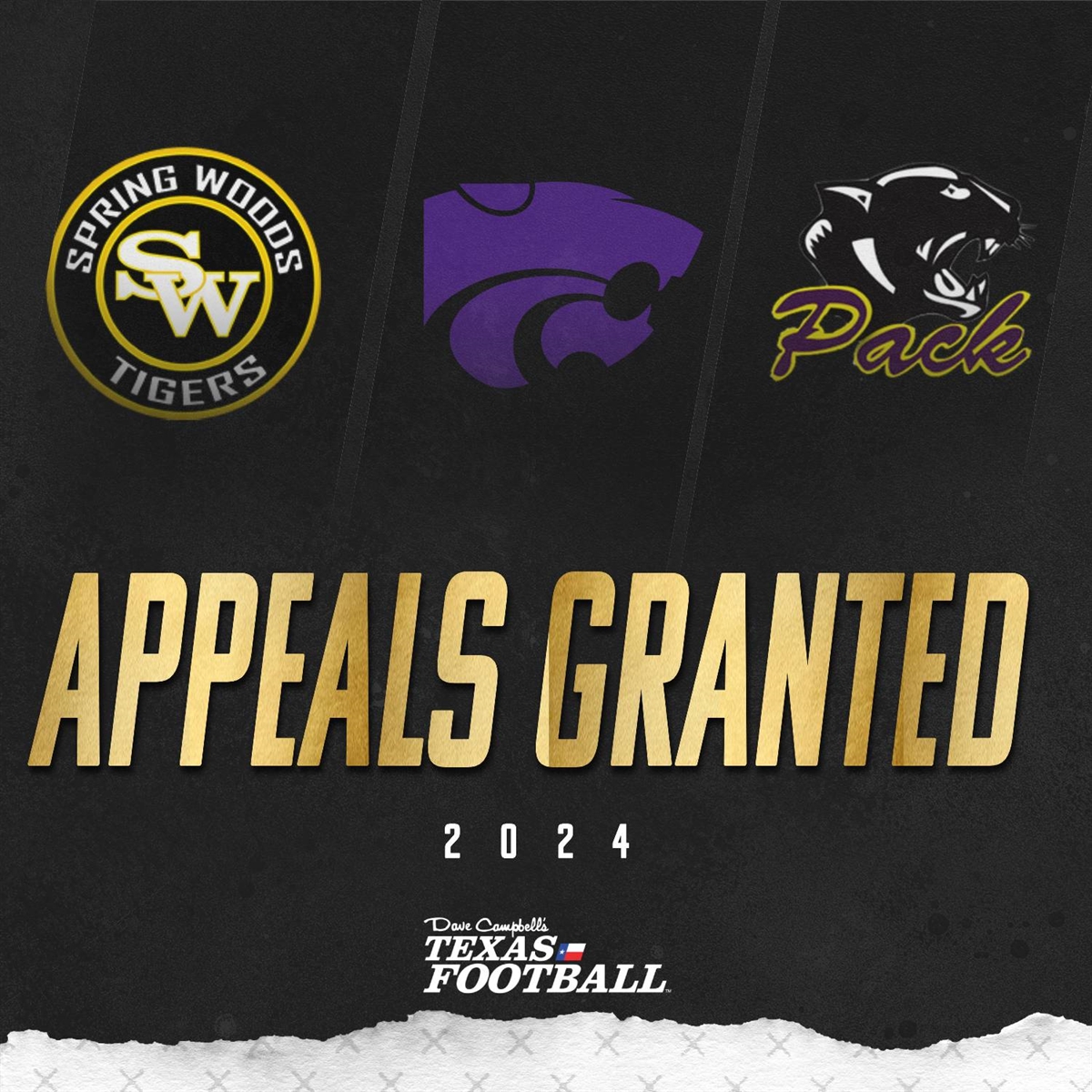 Wind Surge Announce ESPN Radio Partnership | MiLB.com, image size:1200x1200