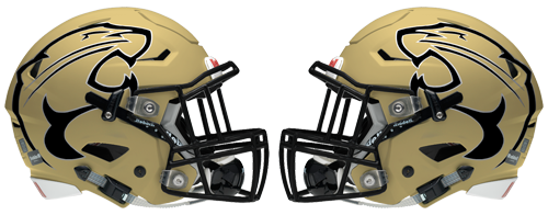 crockett football helmet Austin Crockett Cougars