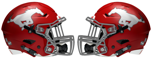 Texas High School Football Helmets