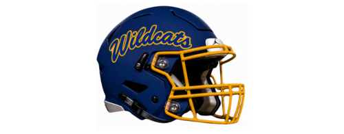 dave campbell football helmets Big Sandy Wildcats